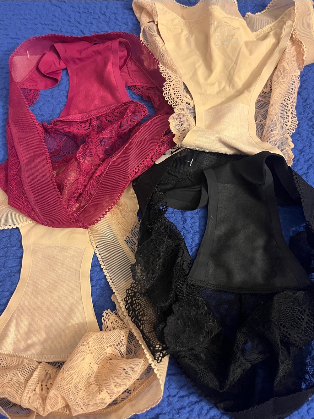 Eterna Lace-Trim Bikini Panties in Beige, Maroon & Black - 4-Pack - Picture 6 of 8